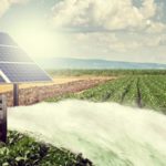 Les différents types et avantages des pompes à eau solaires