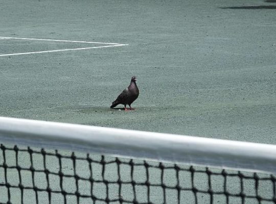 Construction d'un terrain de tennis en béton poreux à Cannes