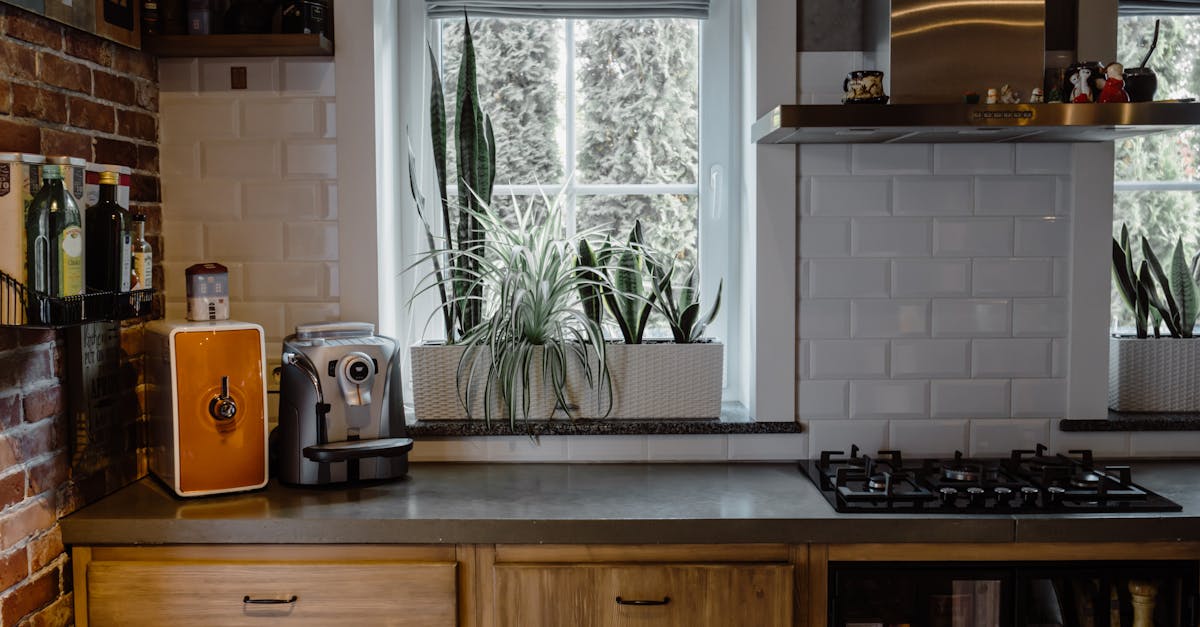 découvrez notre vaste sélection d'accessoires de cuisine indispensables pour rendre votre expérience culinaire encore plus agréable. que vous soyez un chef professionnel ou un amateur, nos produits allient fonctionnalité et design pour embellir votre cuisine.