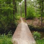 Explorer la nature avec Dimensione Natura : Conseils et inspirations sur le blog