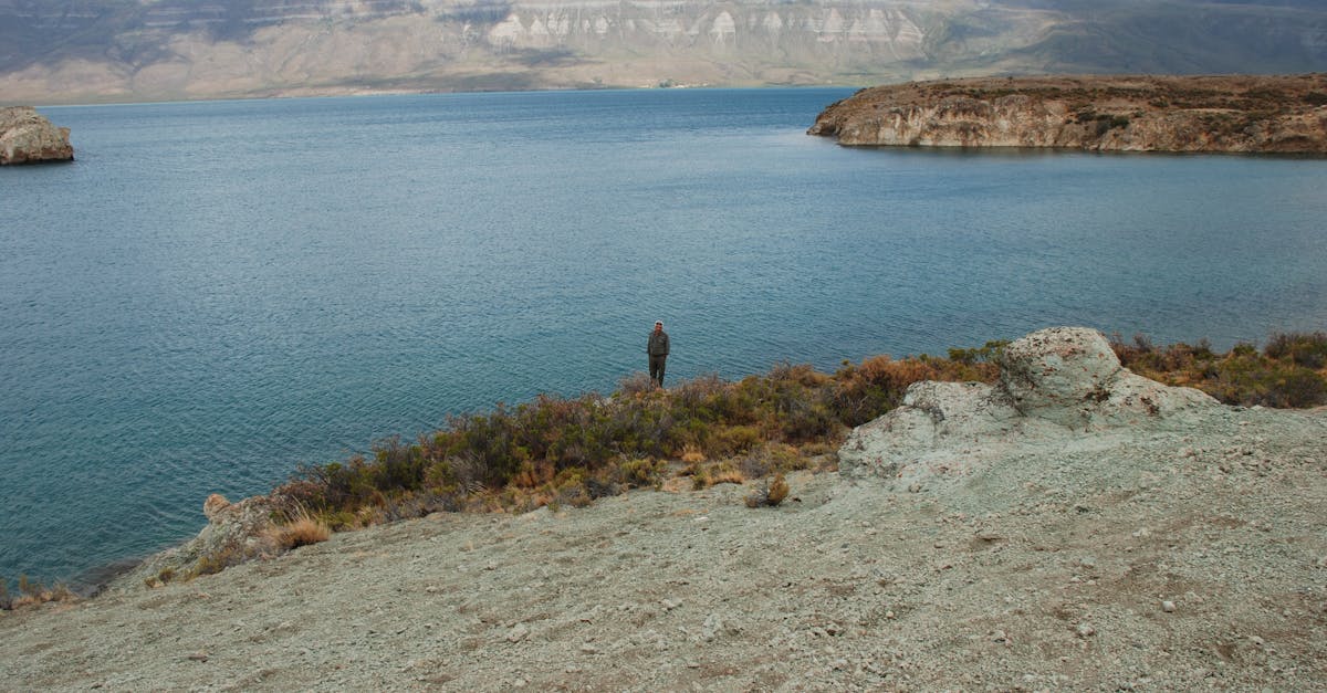 découvrez l'émerveillement de la nature à travers nos explorations captivantes. plongez dans des paysages époustouflants, rencontrez une faune fascinante et apprenez à préserver notre planète. rejoignez-nous pour une aventure inoubliable au cœur de la biodiversité.