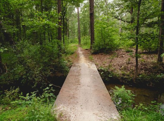 découvrez les merveilles de la nature à travers des explorations passionnantes. plongez dans des paysages époustouflants, rencontrez une faune incroyable et apprenez des techniques pour apprécier notre environnement. rejoignez-nous pour une aventure inoubliable dans le monde naturel.