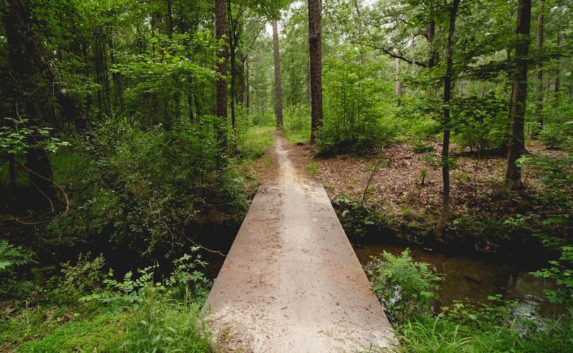 découvrez les merveilles de la nature à travers des explorations passionnantes. plongez dans des paysages époustouflants, rencontrez une faune incroyable et apprenez des techniques pour apprécier notre environnement. rejoignez-nous pour une aventure inoubliable dans le monde naturel.