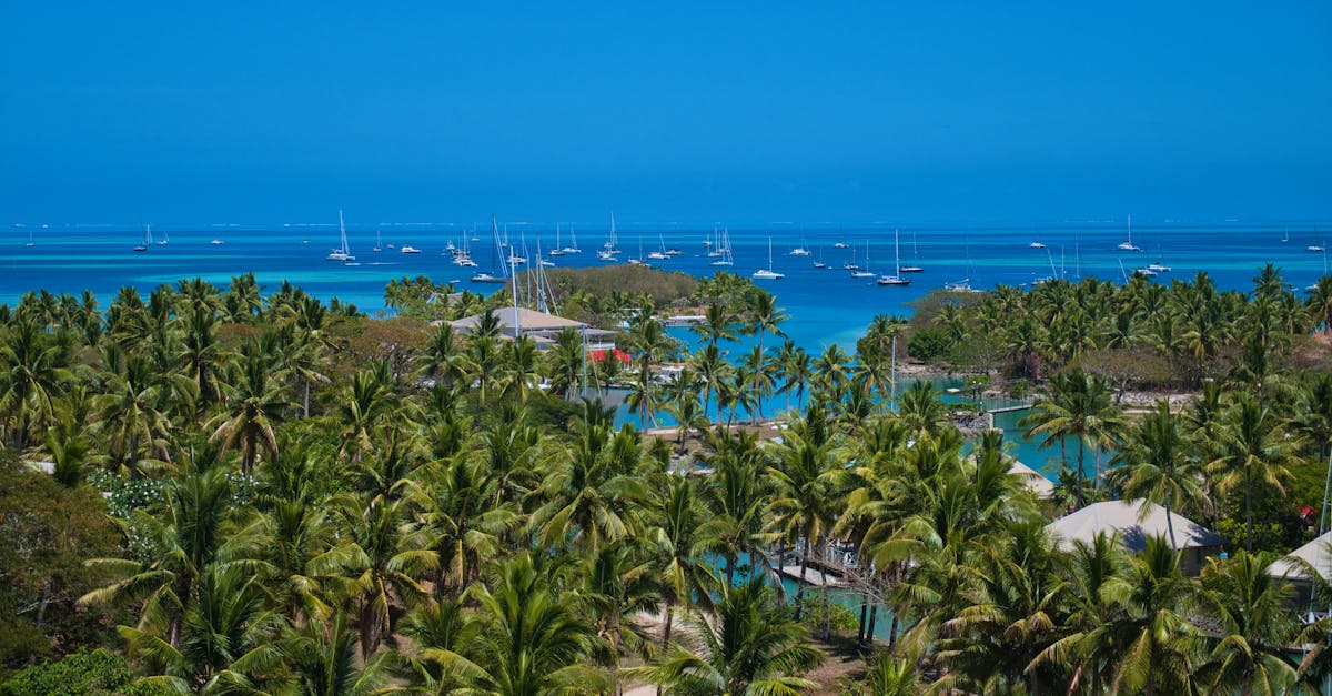 découvrez un monde paradisiaque où la beauté naturelle et la sérénité s'entremêlent. plongez dans des paysages époustouflants, des plages de sable fin et une atmosphère de paix et de tranquillité. laissez-vous séduire par cette expérience unique de détente et de ressourcement.
