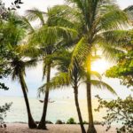 Découvrez l’univers de My Paradies : conseils et inspirations paradisiaques