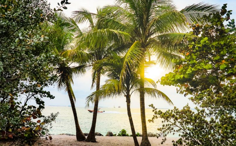 découvrez un monde paradisiaque où la beauté naturelle sublime chaque instant. plongez dans des paysages enchanteurs, des plages de sable blanc et des eaux turquoise. laissez-vous emporter par la sérénité et l'émerveillement d'un véritable havre de paix.