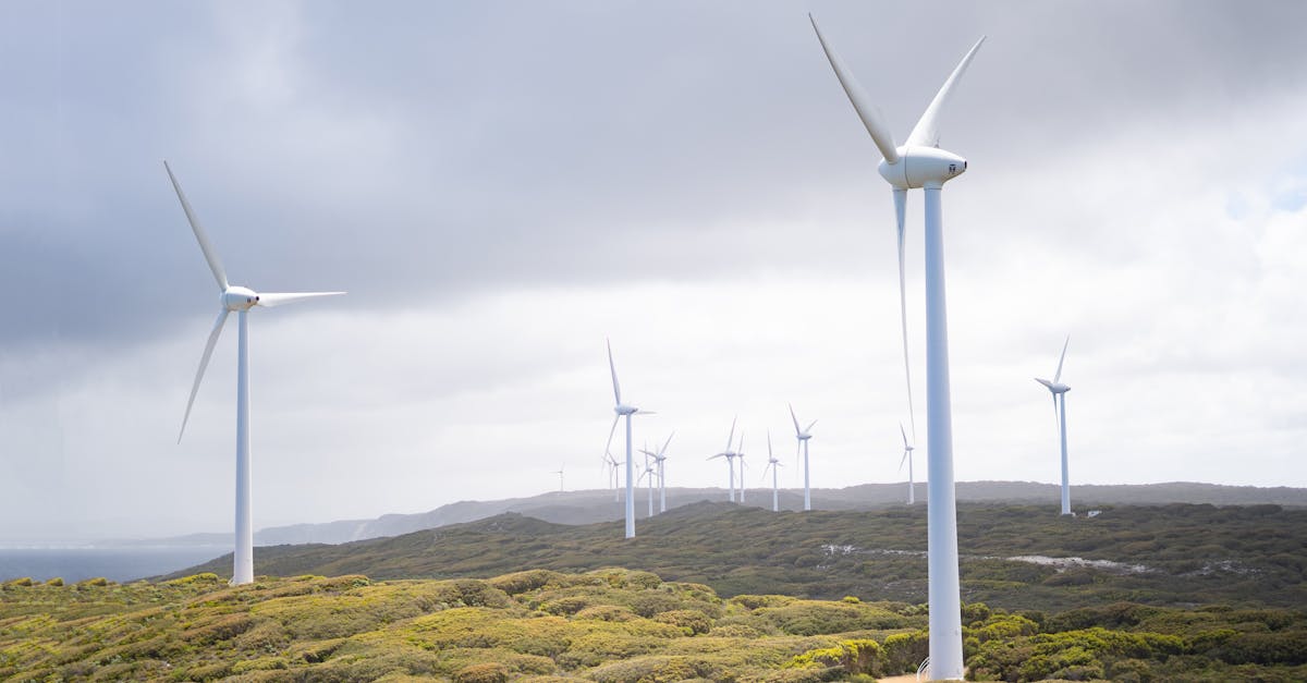 découvrez les avantages de l'énergie renouvelable, une solution écologique pour un avenir durable. explorez les différentes sources, comme l'énergie solaire, éolienne et hydraulique, et leur impact positif sur l'environnement.