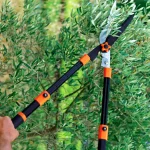 Comment entretenir un coupe branches à crémaillère pour prolonger sa durée de vie et garantir une coupe nette ?