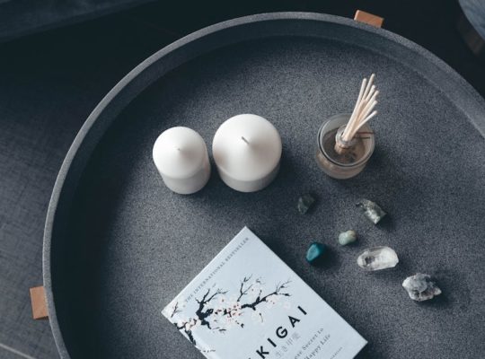 découvrez l'art de vivre japonais à travers ses traditions, sa cuisine, ses rituels et son esthétique unique. plongez dans un univers où harmonie, simplicité et respect de la nature sont au cœur du quotidien.