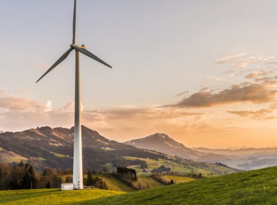 découvrez ce que signifie le développement durable, ses principes et son importance pour préserver l'environnement tout en favorisant une croissance économique responsable.