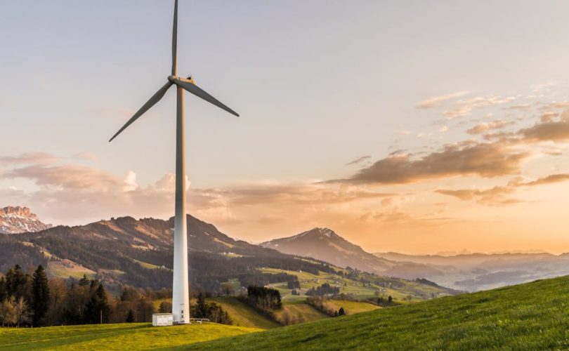 découvrez ce que signifie le développement durable, ses principes et son importance pour préserver l'environnement tout en favorisant une croissance économique responsable.