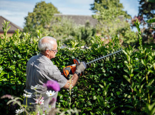 jardinier paysagistes à Cannes