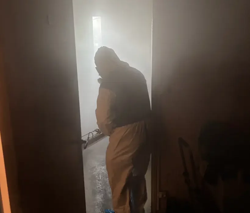 les odeurs persistantes après un décès